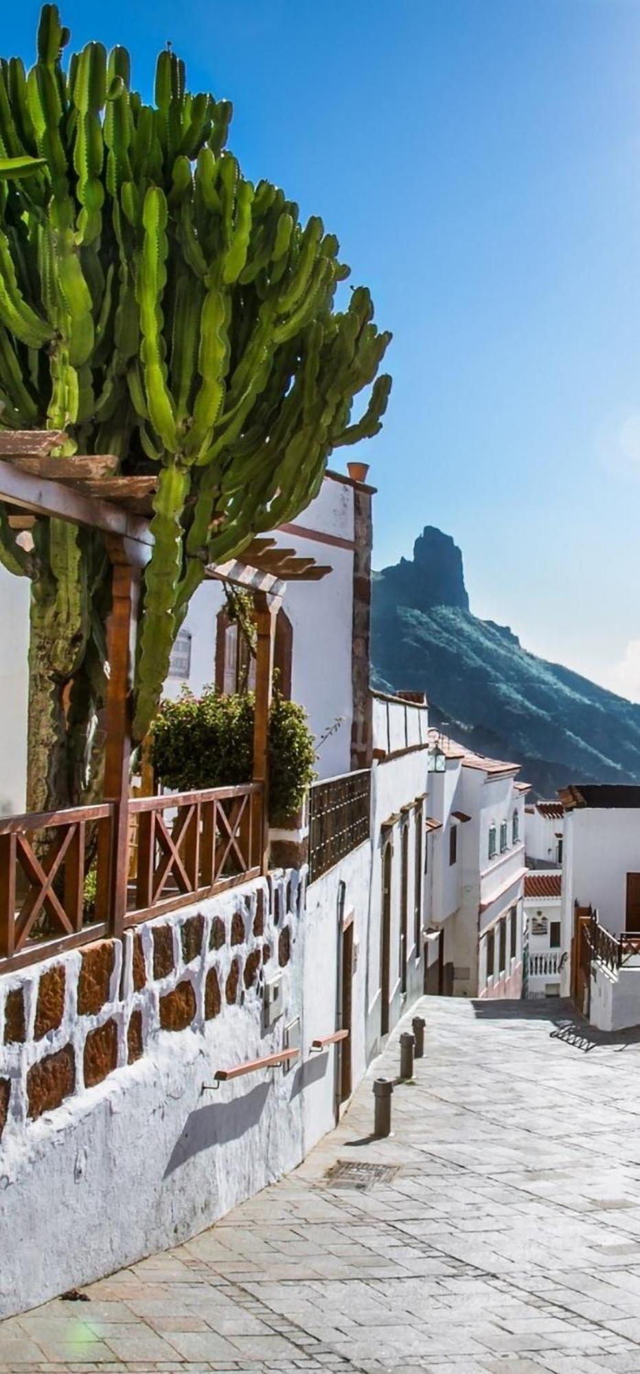 El Rinconcito De Tejeda Villa Exterior photo